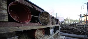 Sefton Wind in the Willows outside