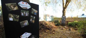 Longbarn Wind in the Willows garden
